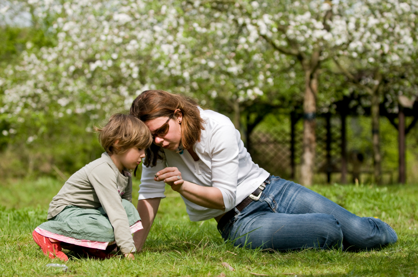 iStock_000006196681Small